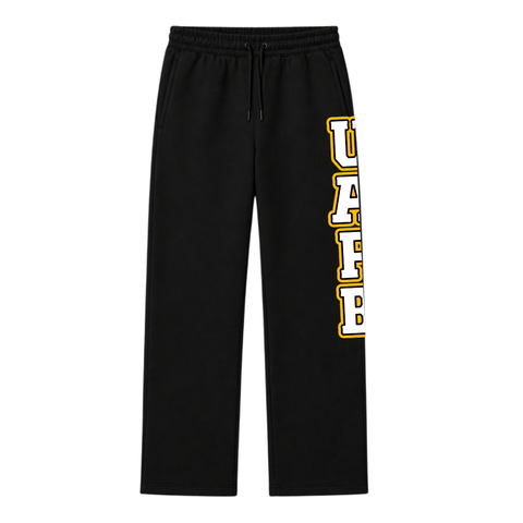 UAPB Everyday: Golden Lion Set