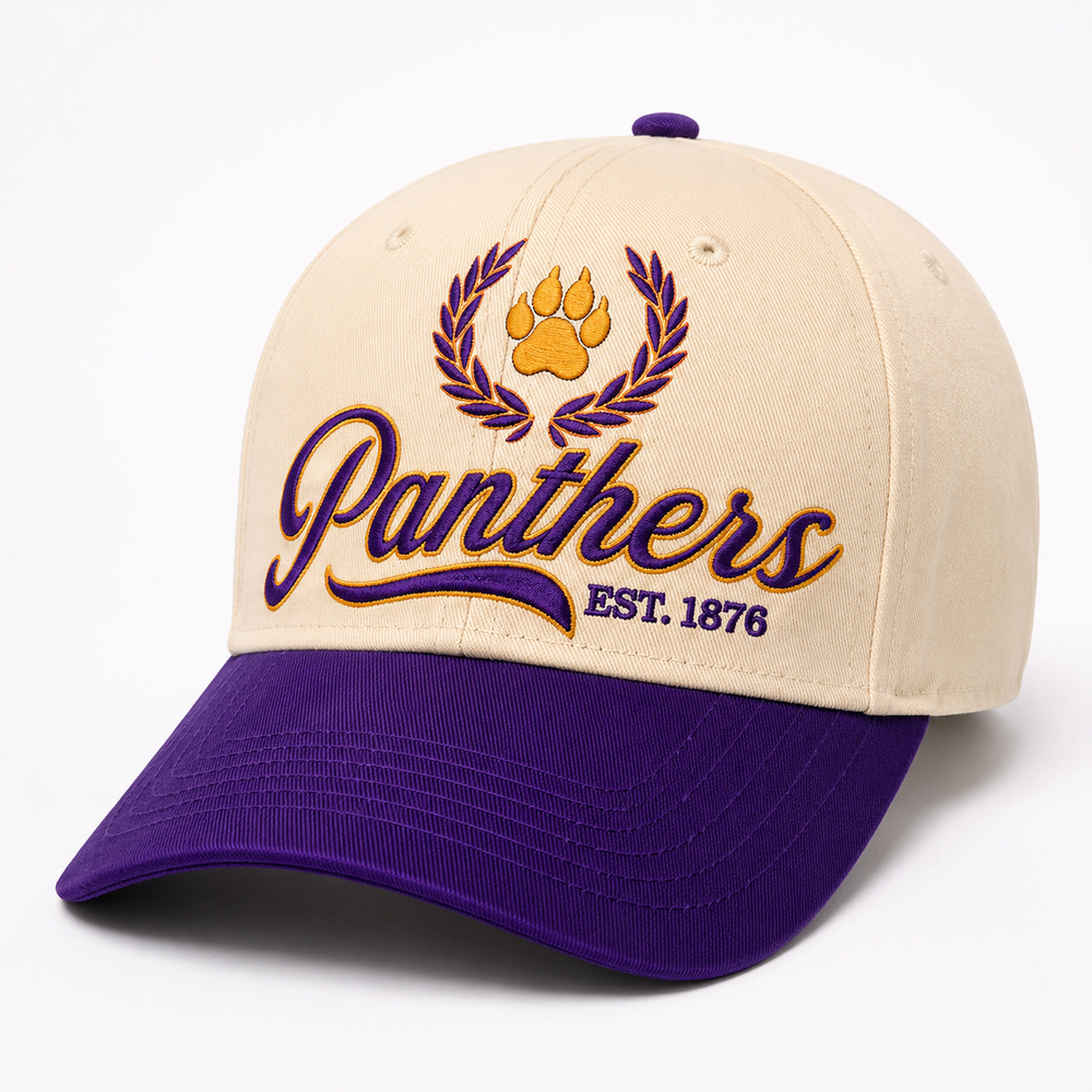 Quarter 3 Quarterly Box — HBCU Social Club (Panthers)