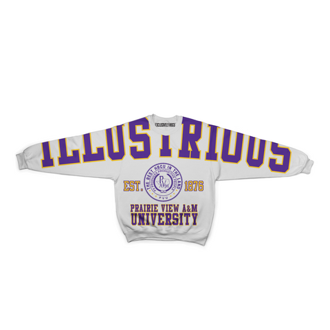 Oversized Retro HBCU Crew