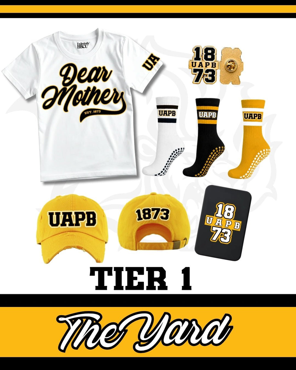 UAPB Everyday Fundraise Box: Tier 1 (The Yard) - Exclusively HBCU