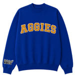 Quarter 3 Quarterly Box — HBCU Social Club (Aggies)
