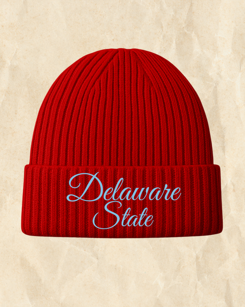 Quarter 4 Box: Classically HBCU (DSU Inspired)