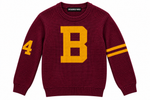 All I Want For the Holidays Is - HBCU Quarterly Box (Wildcats)