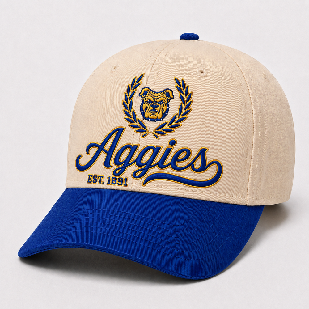Quarter 3 Quarterly Box — HBCU Social Club (Aggies)