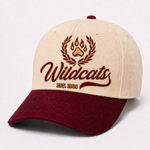 Quarter 3 Quarterly Box — HBCU Social Club (Wildcats)