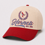 Quarter 3 Quarterly Box — HBCU Social Club (Hornets)