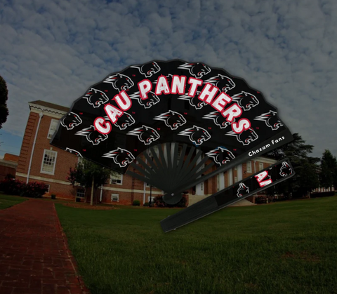 Quarter 3: HBCU Rodeo - Boots on the Ground (Clark Atlanta Inspired)
