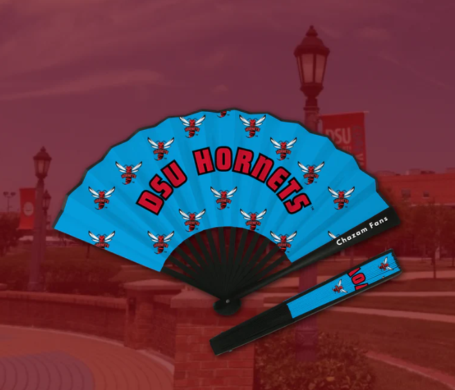 Quarter 3: HBCU Rodeo - Boots on the Ground (DSU Inspired ...