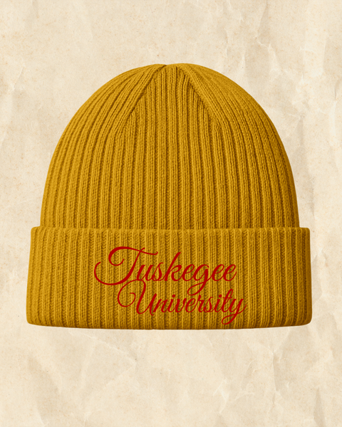 Quarter 4 Box: Classically HBCU (Skegee Inspired)