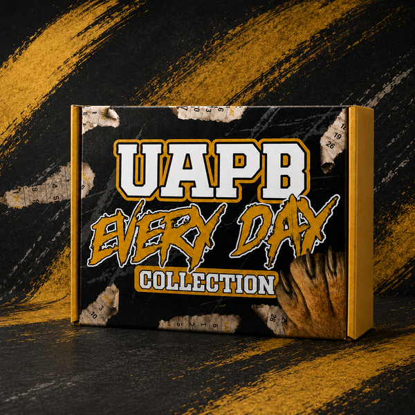 University of Arkansas Pine Bluff National Alumni Association 