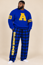 All I Want For the Holidays Is - HBCU Quarterly Box (Golden Rams)